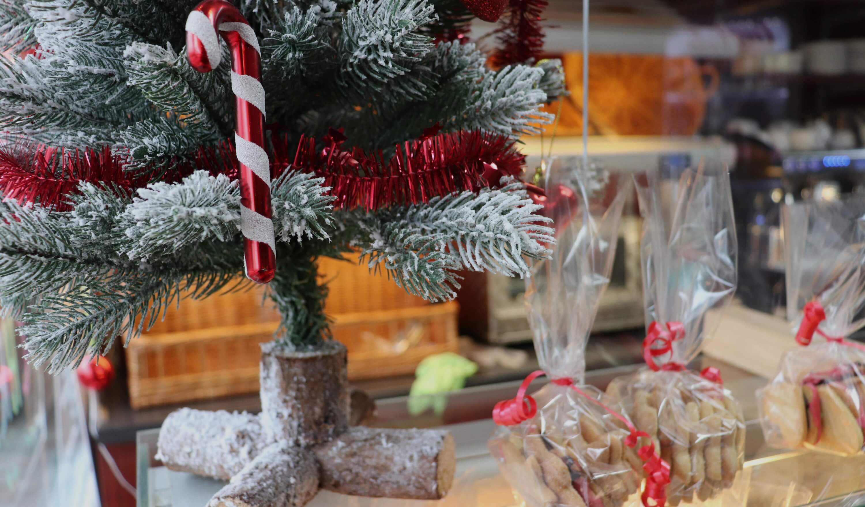 Maria's Weihnachtsbaum und Plätzchen